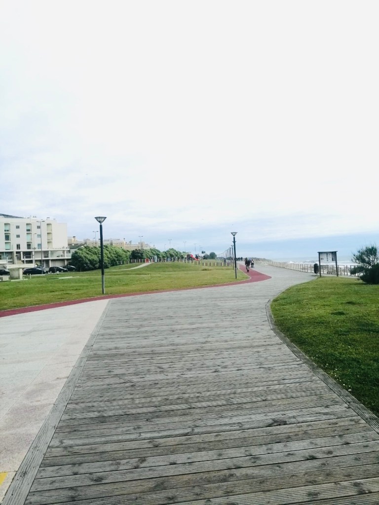 comer en oporto los viajeros, comer en oporto no turistico, comer en oporto zona ribeira, dónde comer en oporto, donde cenar en oporto, donde comer barato en oporto portugal, donde comer barato en ribeira oporto, donde comer bien en oporto, donde comer comida tipica portuguesa en oporto, donde comer en el puerto de oporto, donde comer en gaia oporto, donde comer en la ribeira oporto, donde comer en oporto a buen precio, donde comer en oporto barato, donde comer en oporto bien, donde comer en oporto bien y barato, donde comer en oporto blog, donde comer en oporto cerca del rio, donde comer en oporto comida tipica, donde comer en oporto con niños, donde comer en oporto con perro, donde comer en oporto lonely planet, donde comer en oporto marisco, donde comer en oporto opiniones, donde comer en oporto portugal, donde comer en oporto ribeira, donde comer en oporto tradicional, donde comer en oporto tripadviso, donde comer en porto petro, donde comer marisco en oporto barato, donde comer pescado en oporto, donde comer pulpo a la brasa en oporto, donde comer pulpo en oporto barato, mejores sitios donde comer en oporto, oporto en 3 dias donde comer, que comer en oporto y donde, que ver y donde comer en oporto, sitios donde comer bien en oporto, sitios donde comer en oporto