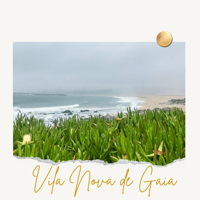 comer en oporto los viajeros, comer en oporto no turistico, comer en oporto zona ribeira, dónde comer en oporto, donde cenar en oporto, donde comer barato en oporto portugal, donde comer barato en ribeira oporto, donde comer bien en oporto, donde comer comida tipica portuguesa en oporto, donde comer en el puerto de oporto, donde comer en gaia oporto, donde comer en la ribeira oporto, donde comer en oporto a buen precio, donde comer en oporto barato, donde comer en oporto bien, donde comer en oporto bien y barato, donde comer en oporto blog, donde comer en oporto cerca del rio, donde comer en oporto comida tipica, donde comer en oporto con niños, donde comer en oporto con perro, donde comer en oporto lonely planet, donde comer en oporto marisco, donde comer en oporto opiniones, donde comer en oporto portugal, donde comer en oporto ribeira, donde comer en oporto tradicional, donde comer en oporto tripadviso, donde comer en porto petro, donde comer marisco en oporto barato, donde comer pescado en oporto, donde comer pulpo a la brasa en oporto, donde comer pulpo en oporto barato, mejores sitios donde comer en oporto, oporto en 3 dias donde comer, que comer en oporto y donde, que ver y donde comer en oporto, sitios donde comer bien en oporto, sitios donde comer en oporto